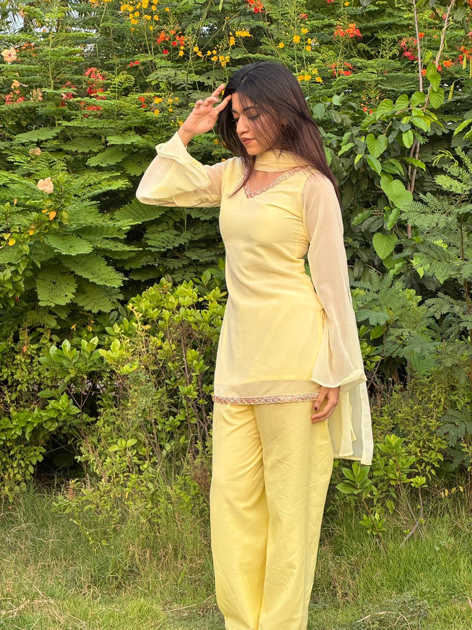 Noor embellished V-neckline and bell sleeve detail